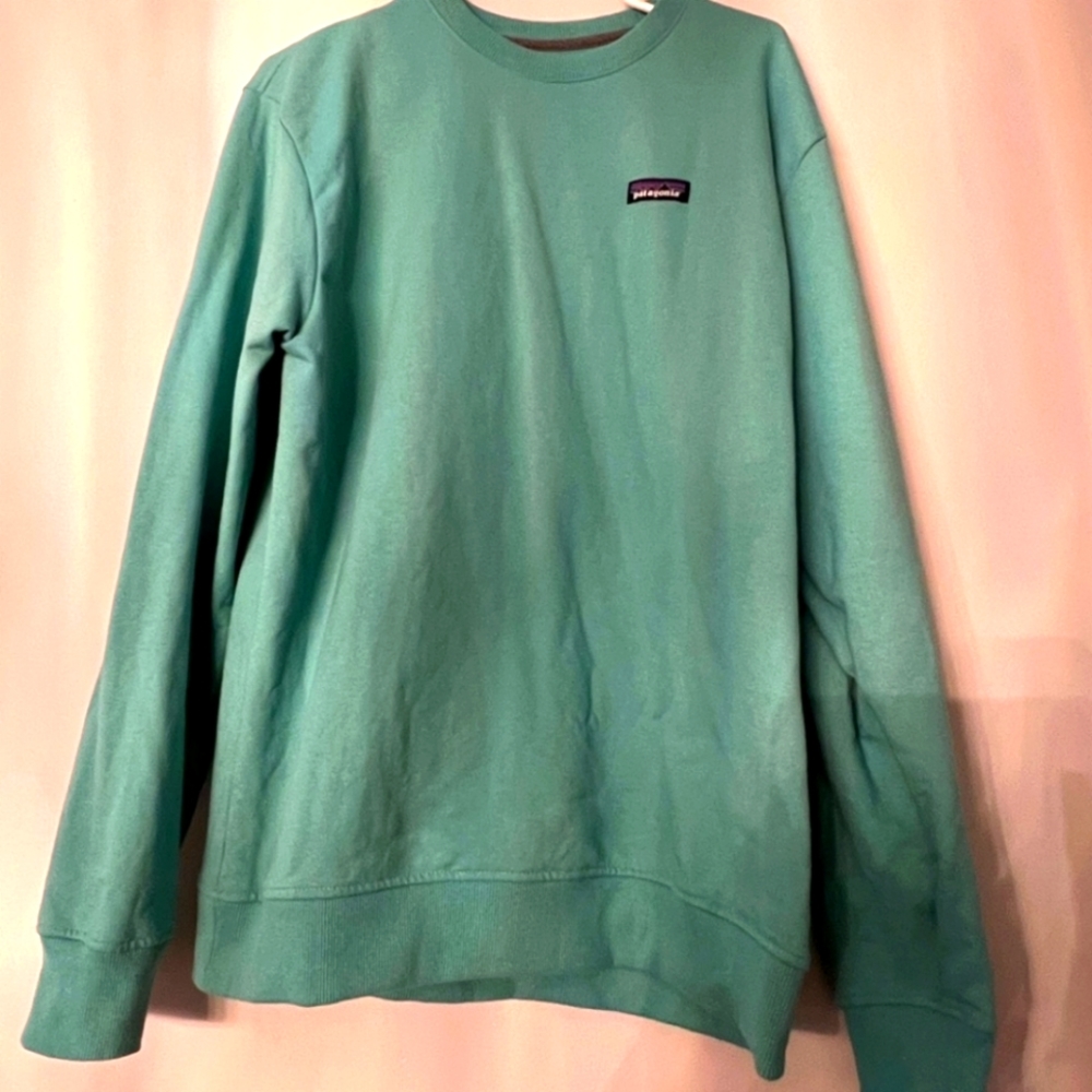 Patagonia Men's L turquoise crewneck sweatshirt